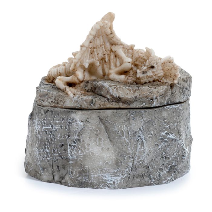 Cień Mroku - Kościany Smok. Szkatułka