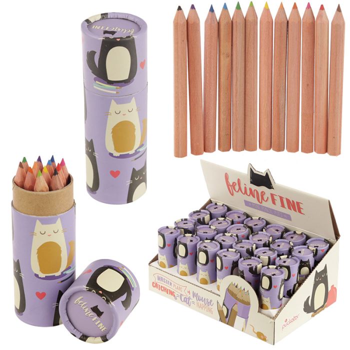 Tuba z ołówkami - Czarny Kot