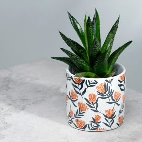 Protea - Ceramiczna doniczka na kwiaty rozmiar S Protea - Ceramiczna doniczka na kwiaty rozmiar S